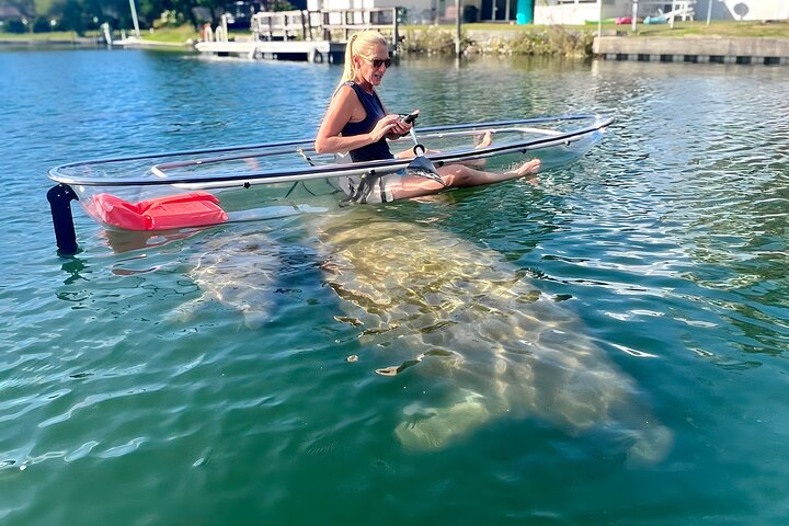 Crystal River: Three Sisters Manatee Clear Kayak Tour Free Photos - Photo 1 of 13